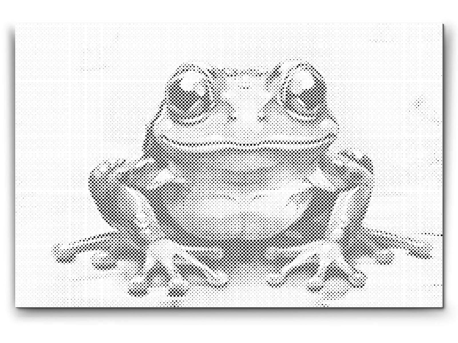 Vesela žaba - Dottingo