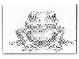 Vesela žaba - Dottingo