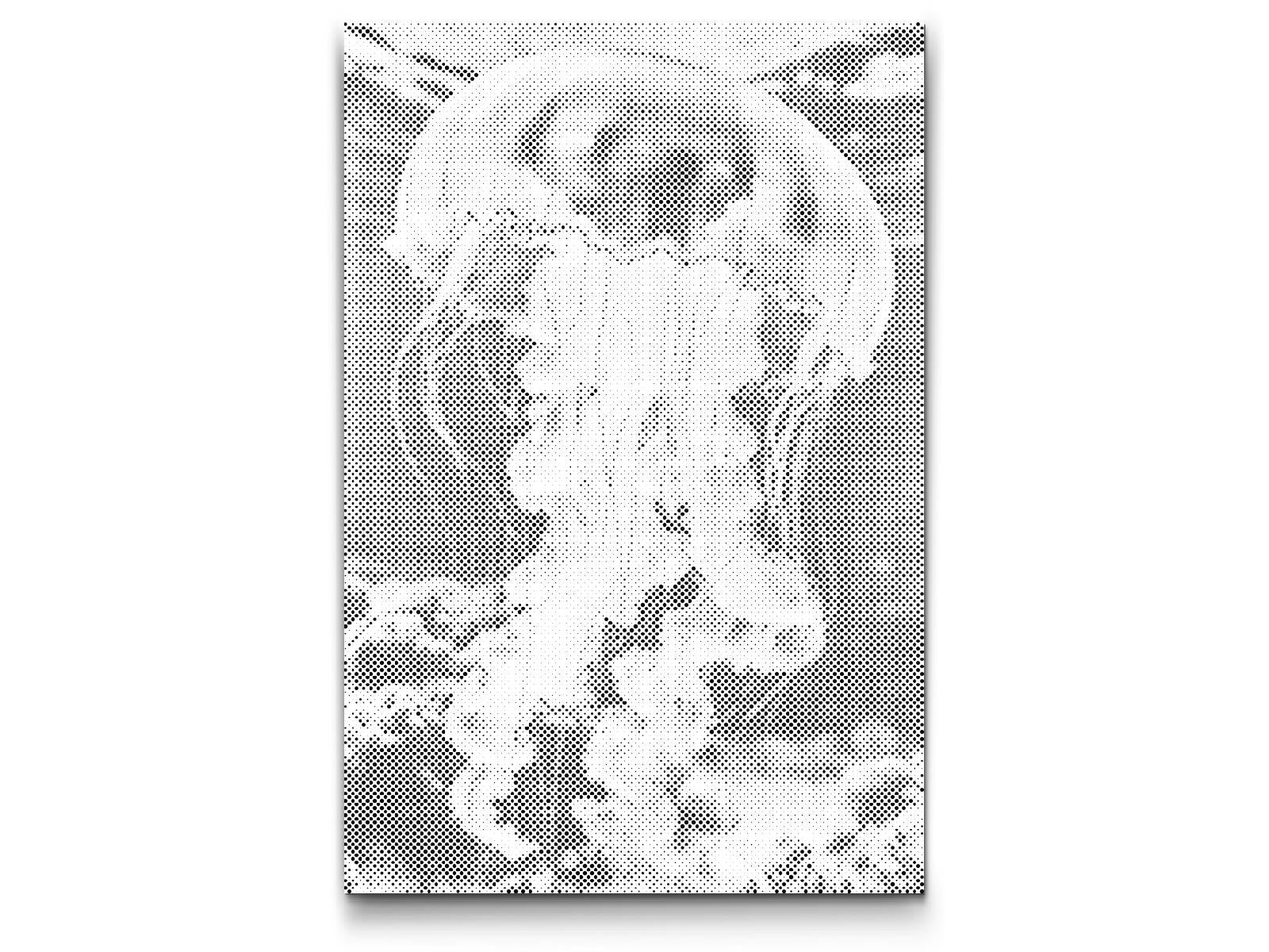 Meduze v morju - Dottingo