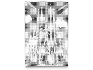 Sagrada Familia od blizu - Dottingo