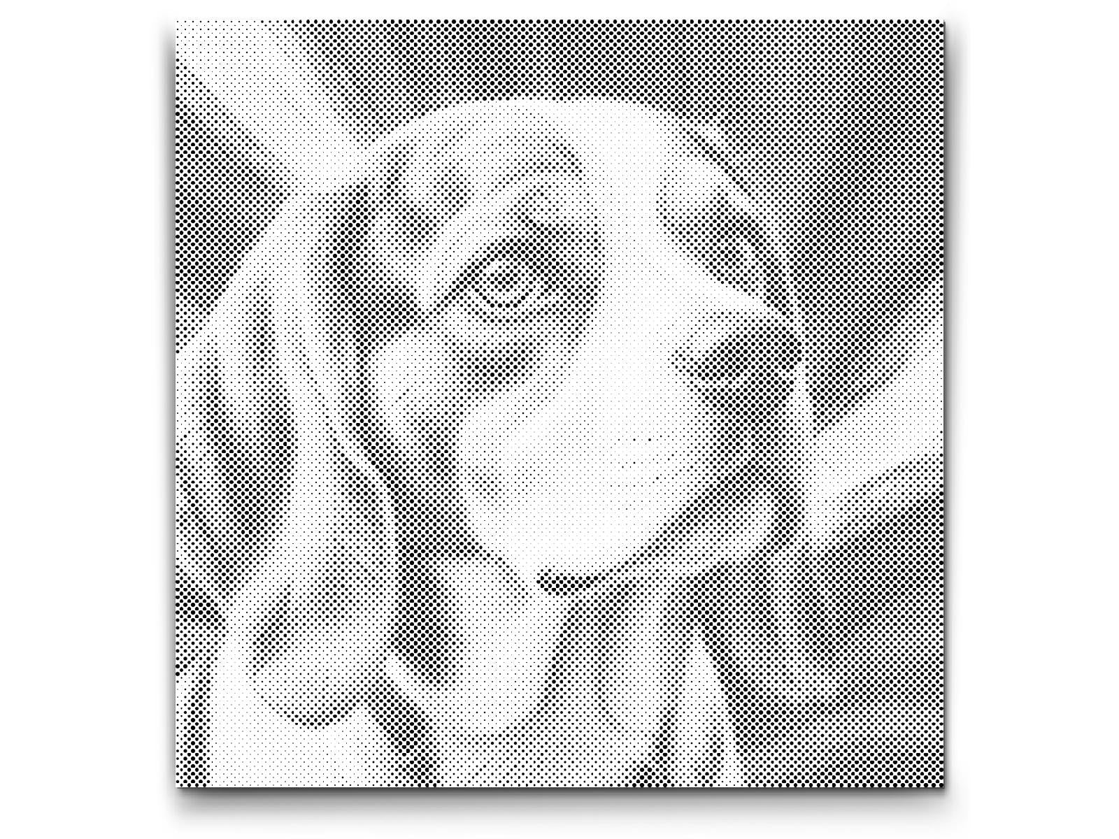 Beagle v odtenkih rdeče in modre - Dottingo