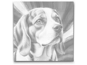 Beagle v odtenkih rdeče in modre - Dottingo