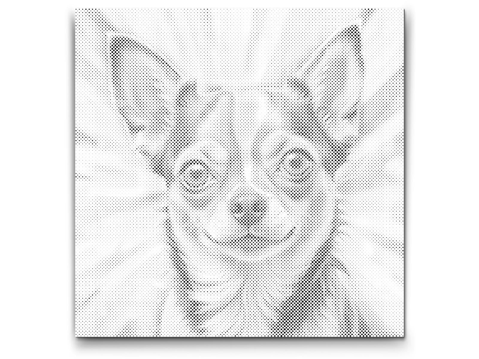 Chihuahua v odtenkih rdeče in modre - Dottingo