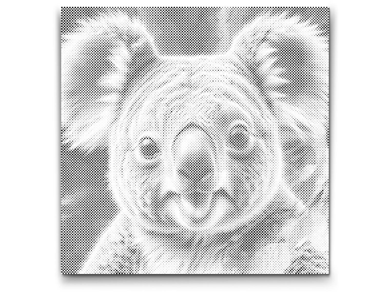 Koala v odtenkih turkizne in oranžne - Dottingo