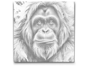 Orangutan v odtenkih rdeče in modre - Dottingo