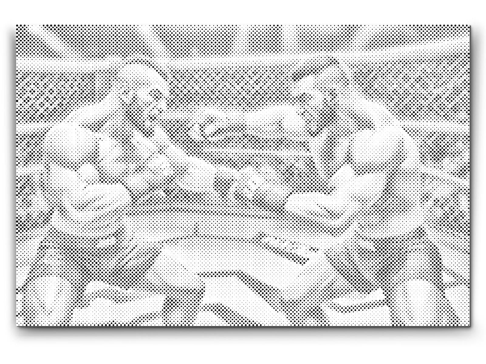 MMA rokoborci - Dottingo