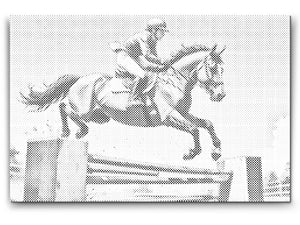 Jahanje - Dottingo