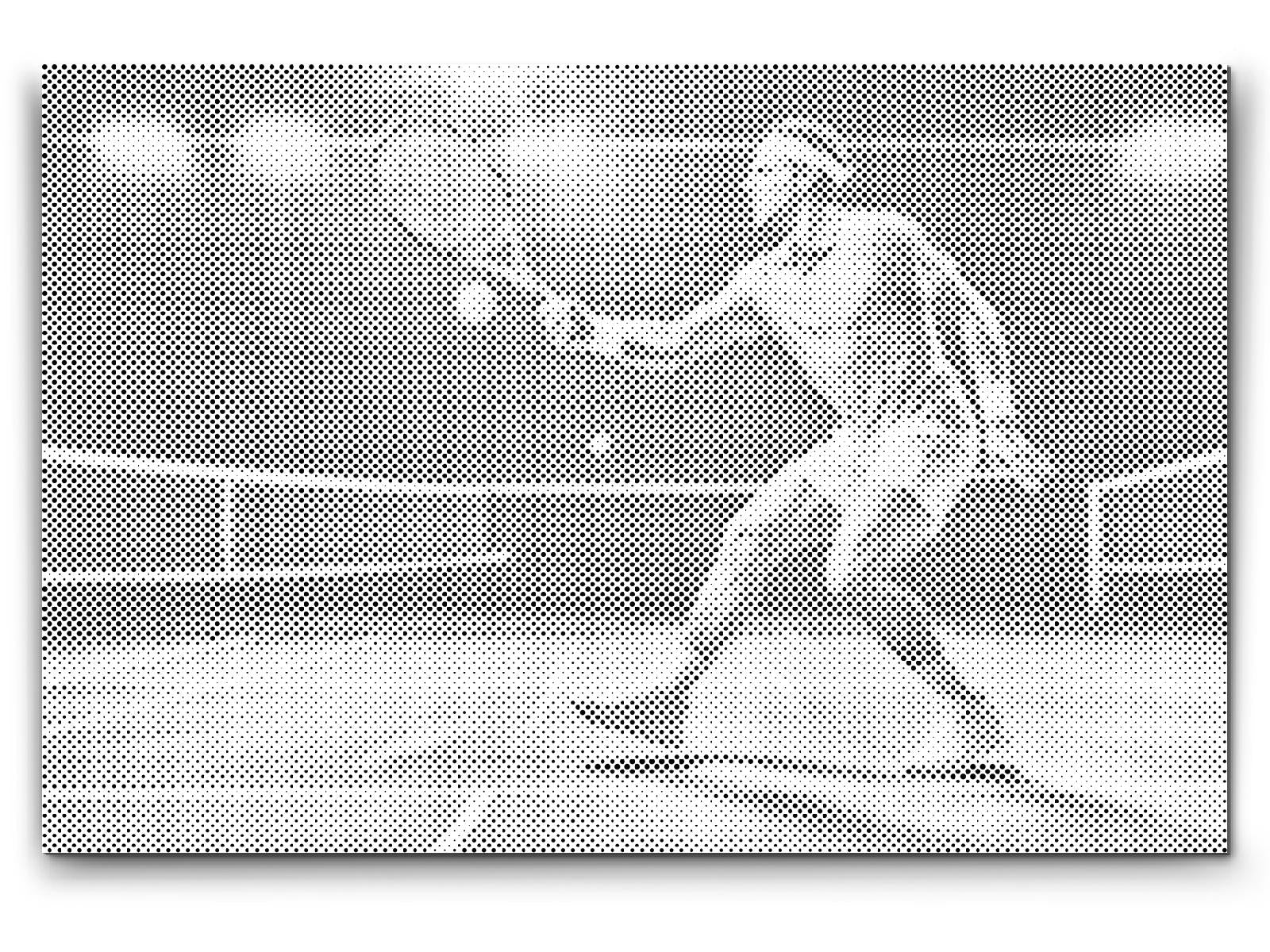 Tenis - Dottingo