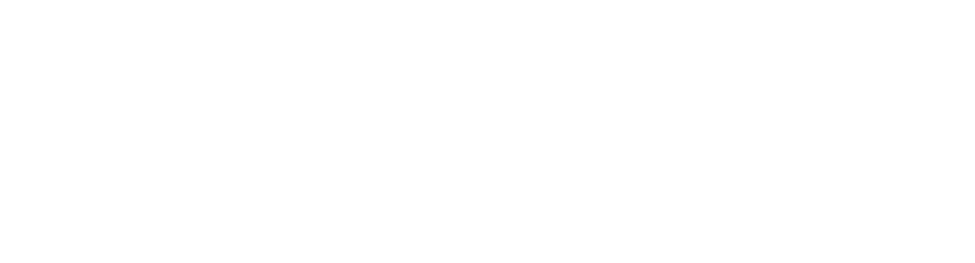 Dottingo SI