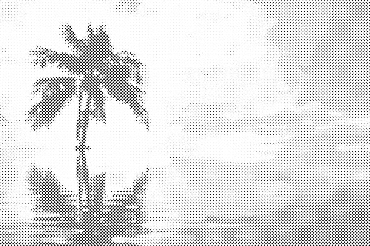 Palma v morju - Dottingo