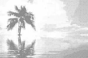 Palma v morju - Dottingo