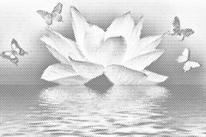 Lotus in metulj - Dottingo