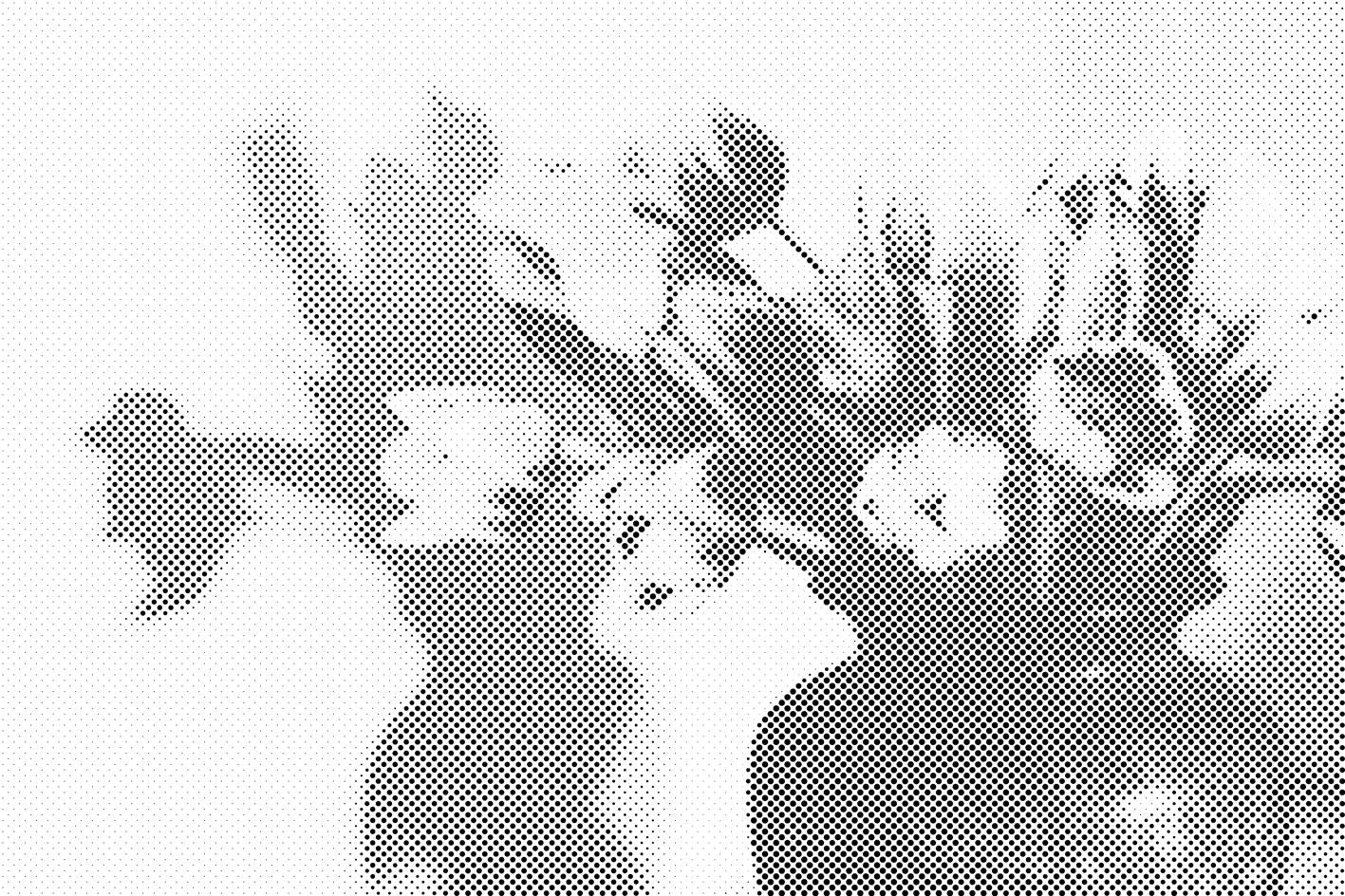 Tulipani v vazi - Dottingo