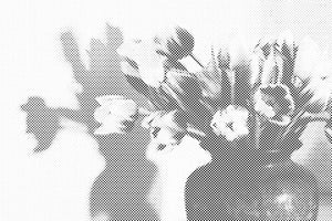 Tulipani v vazi - Dottingo