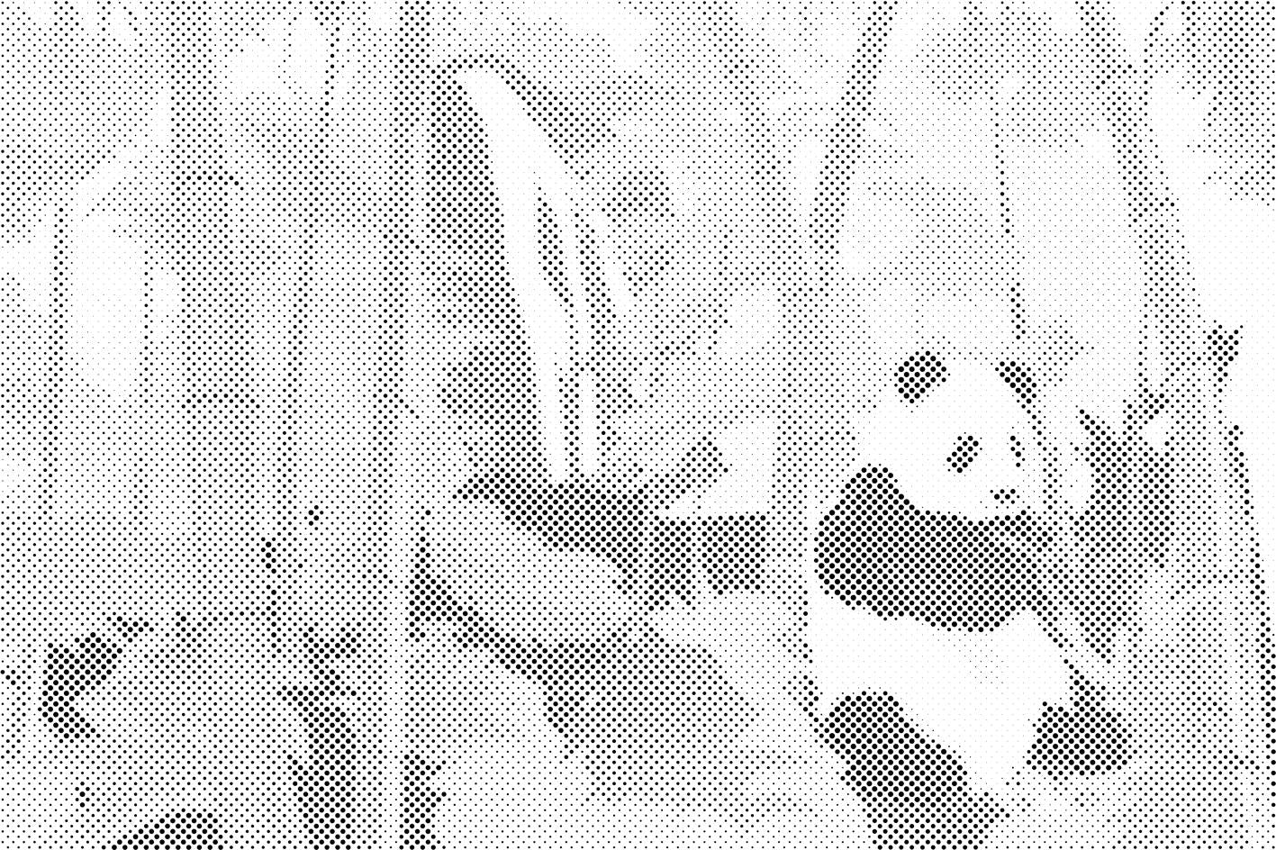 Panda v deževnem gozdu - Dottingo