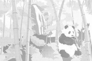 Panda v deževnem gozdu - Dottingo