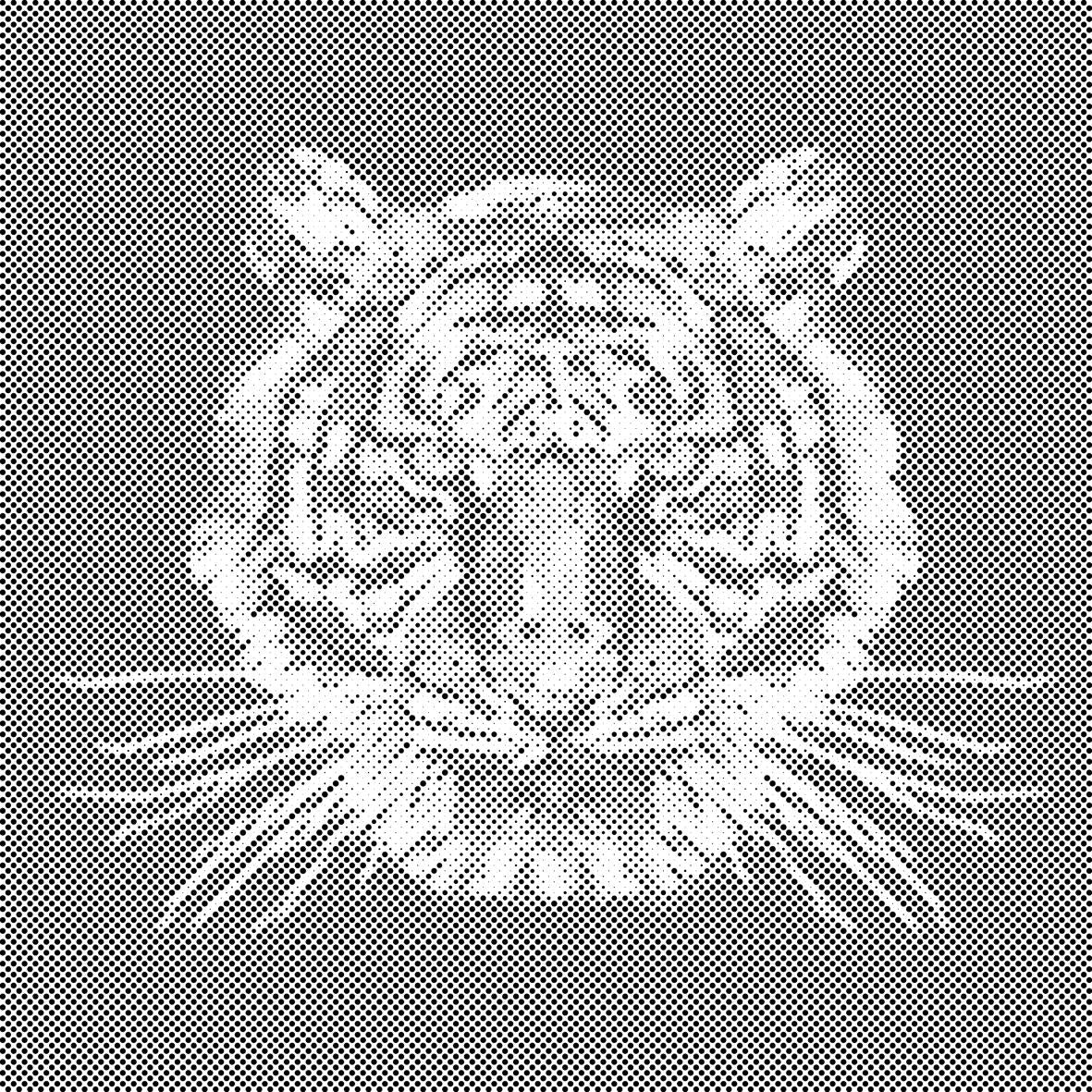 Tiger s črnim ozadjem - Dottingo