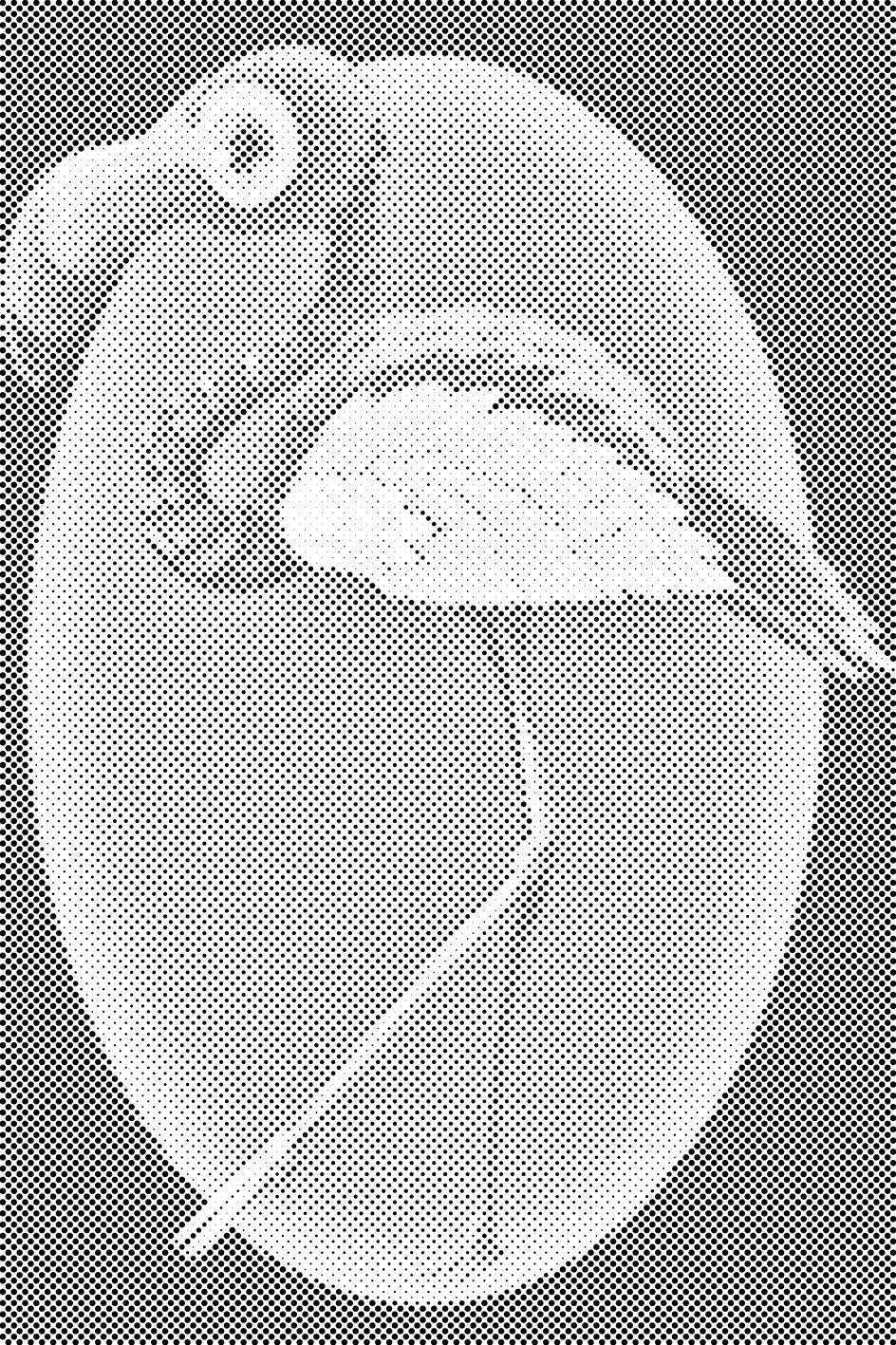 Hodeči flamingo - Dottingo