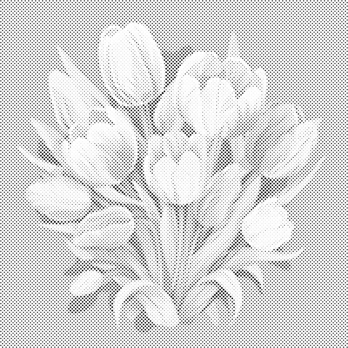 Šopek tulipanov - Dottingo