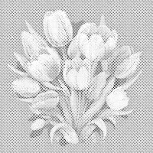 Šopek tulipanov - Dottingo