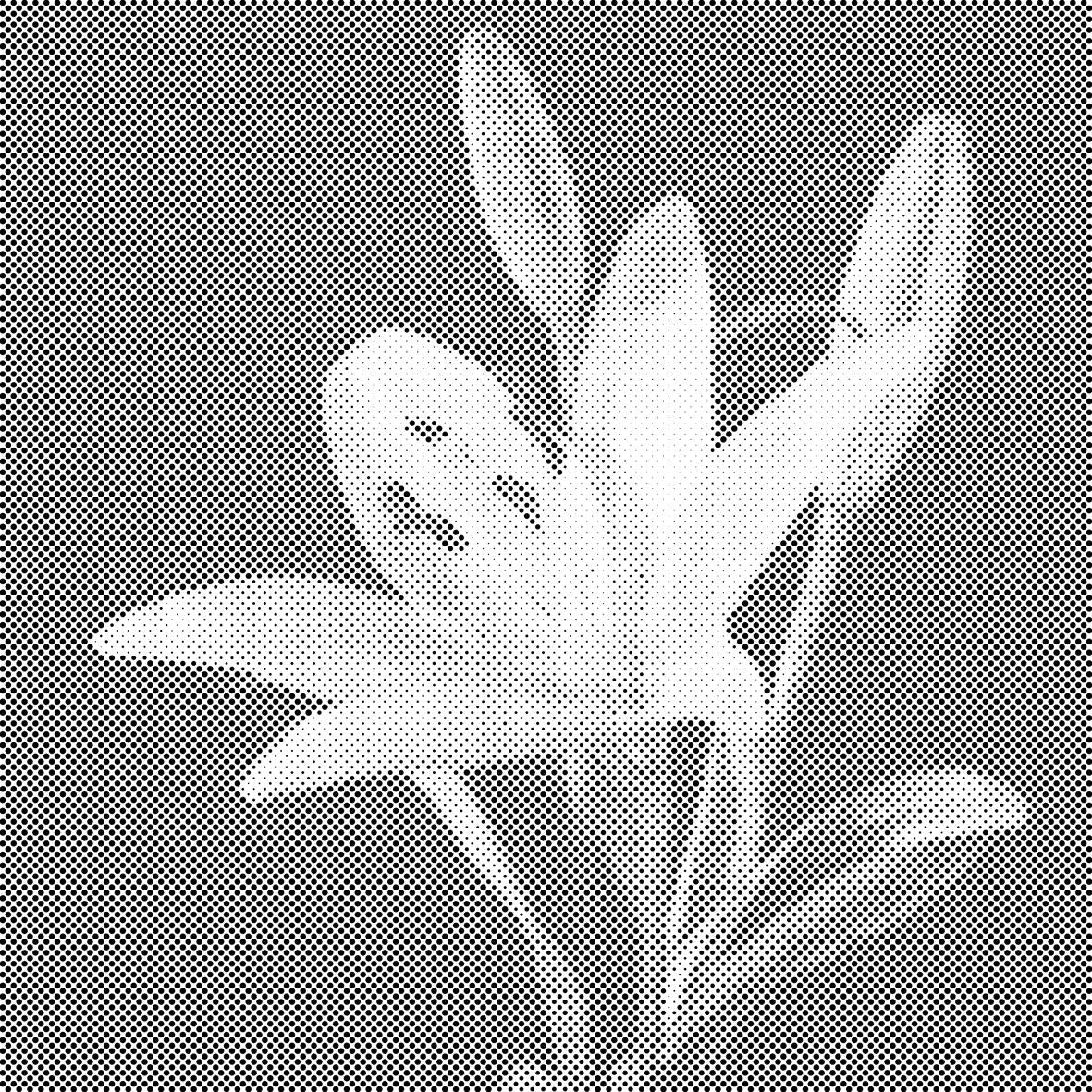 Lilije - Dottingo