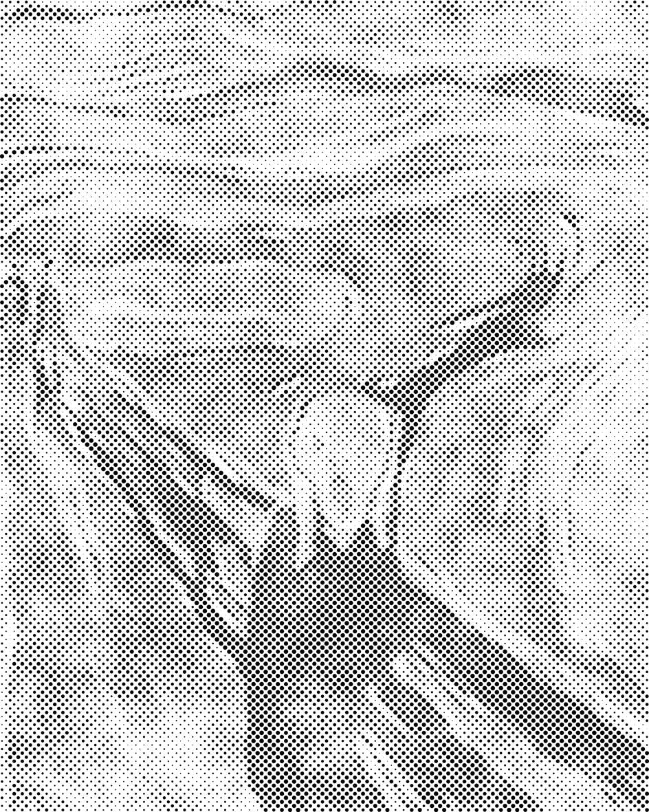 Edvard Munch - Krik - Dottingo