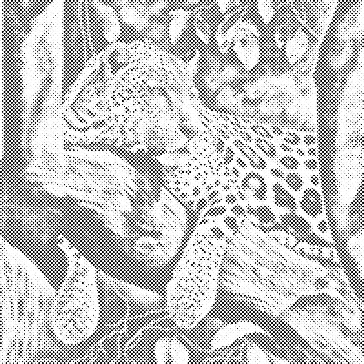 Pegasti leopard - Dottingo