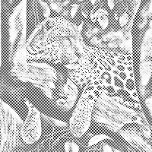 Pegasti leopard - Dottingo