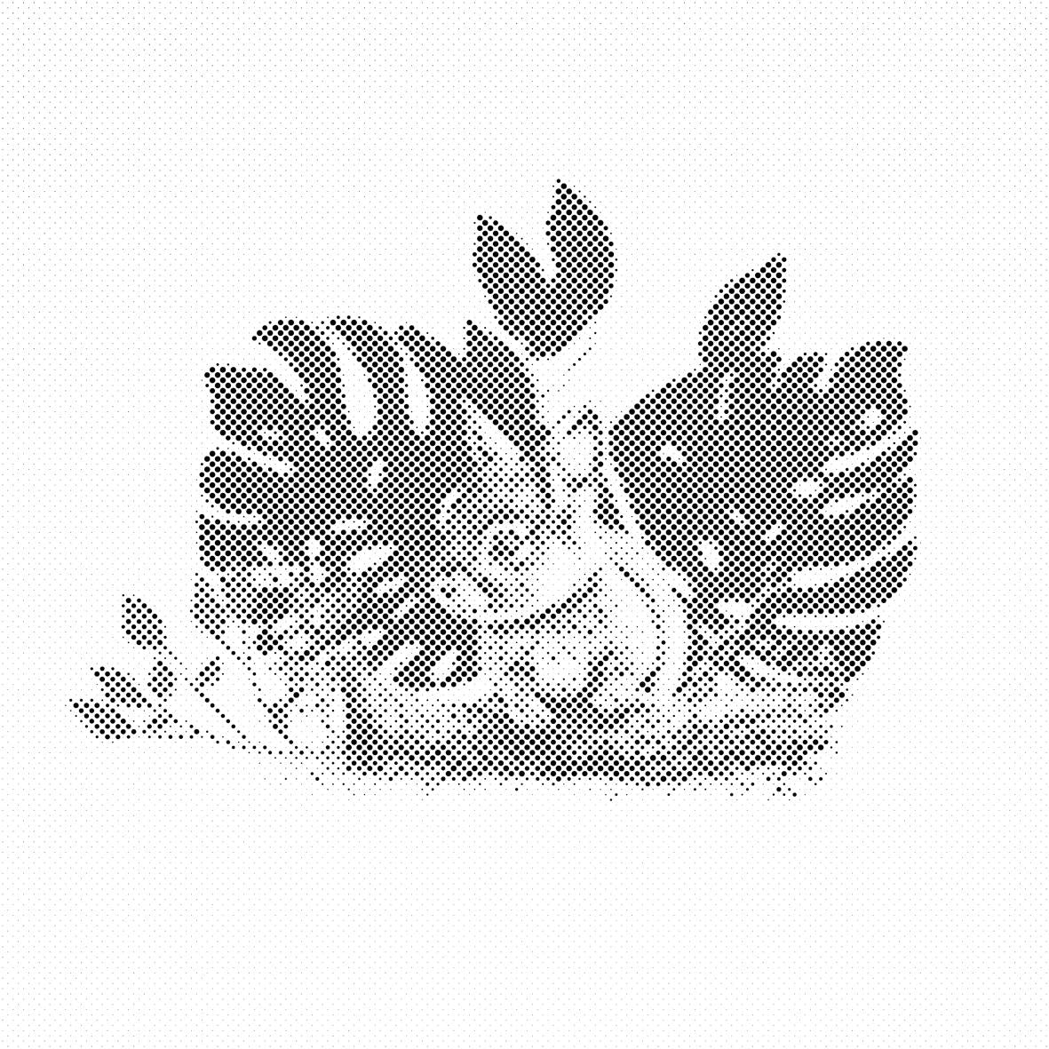 Zajec in rastlina monstera - Dottingo