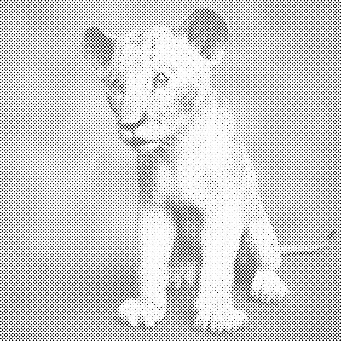 Majhen Simba - Dottingo