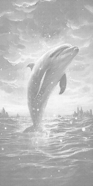 Delfin ob sončnem zahodu - Dottingo