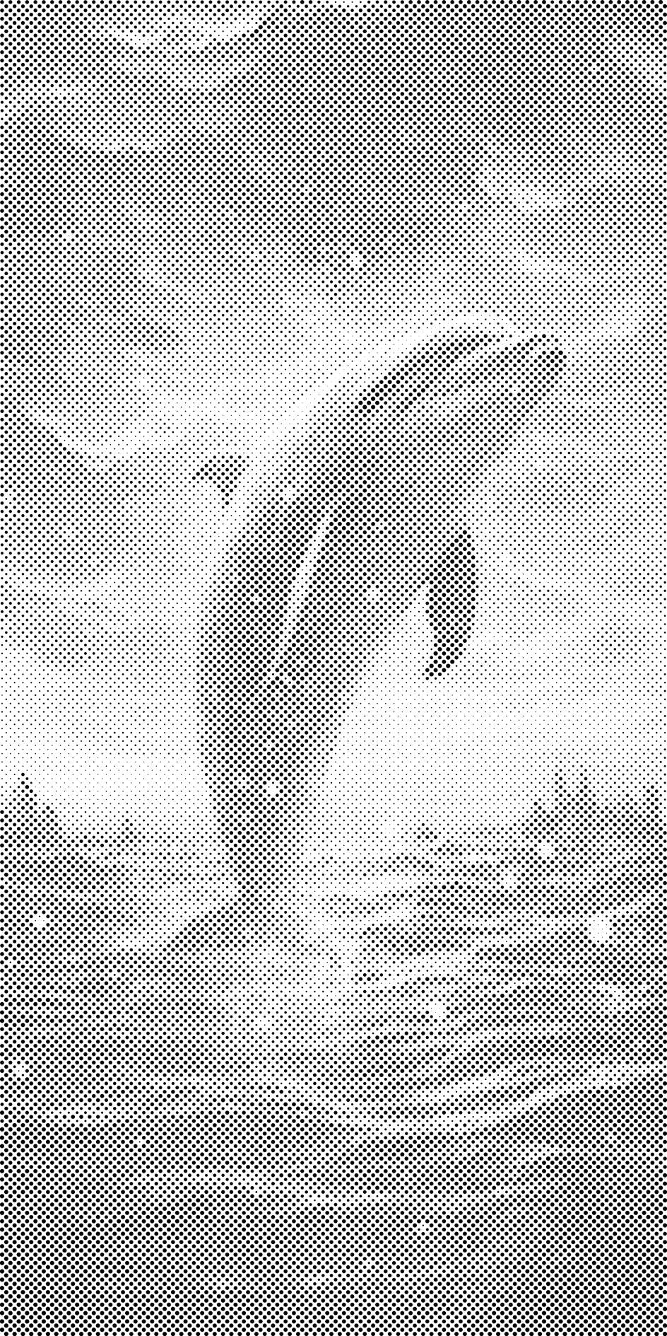 Delfin ob sončnem zahodu - Dottingo