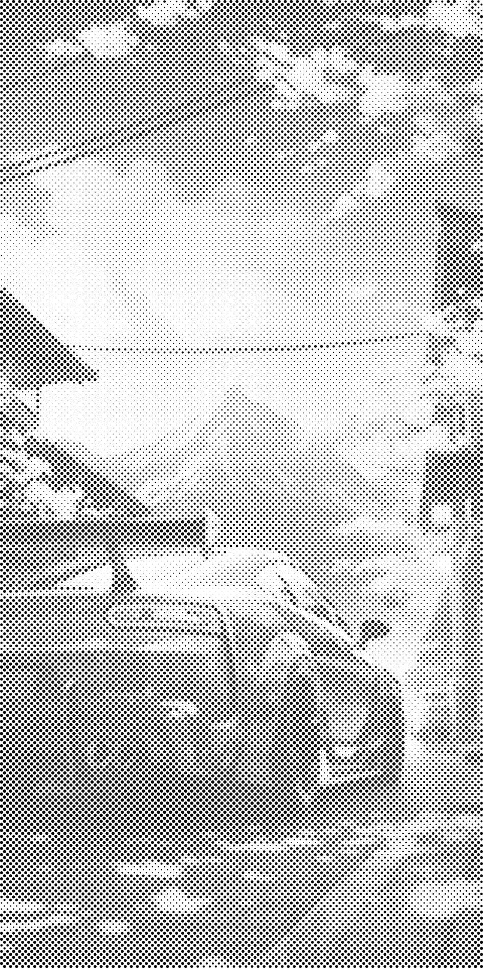 Avto na Japonskem - Dottingo
