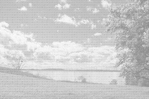 Jezero v naravi - Dottingo