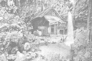 Ljubezenska koča - Dottingo