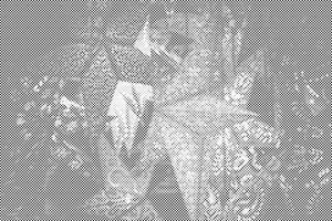 Lanterne - Dottingo