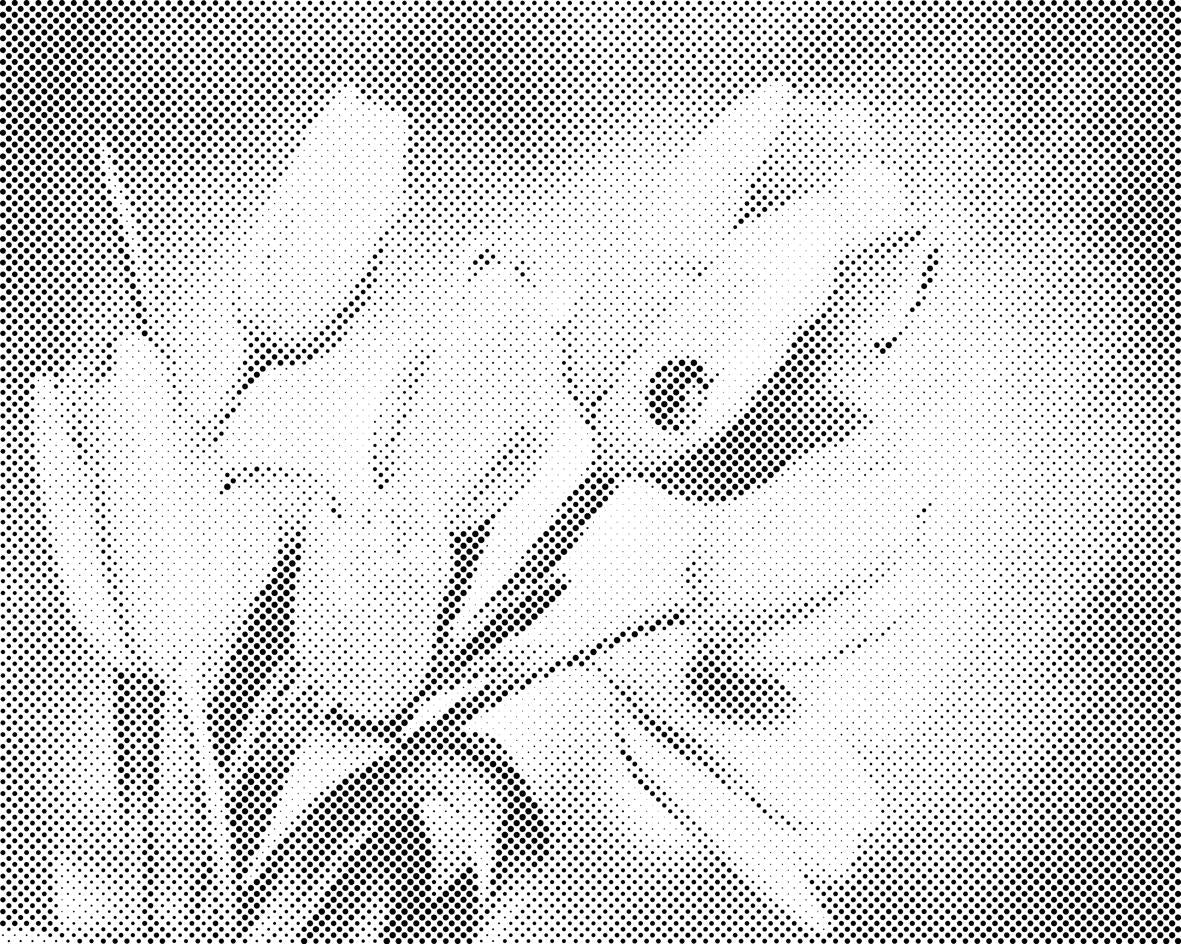 Tulipani in pikapolonica - Dottingo