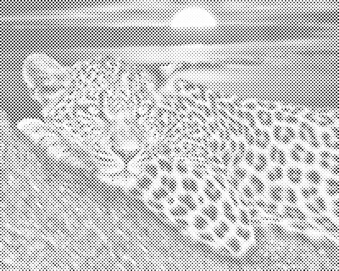 Leopard pri sončnem zahodu - Dottingo