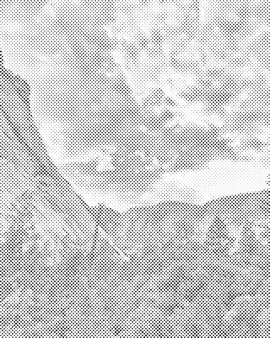 Narodni park Yosemite - Dottingo