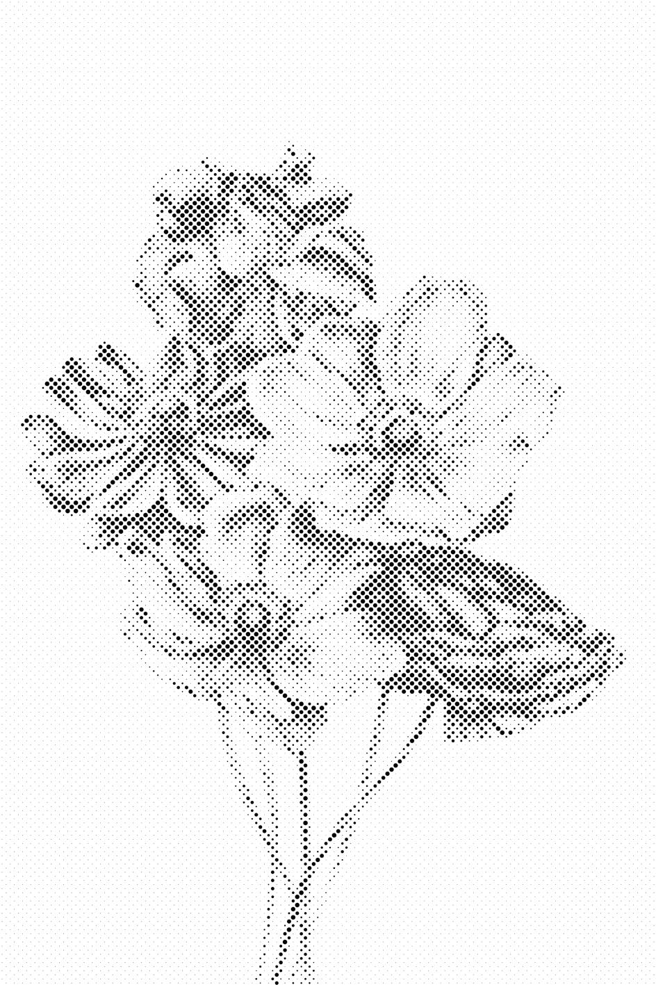 Ilustracija šopka - Dottingo