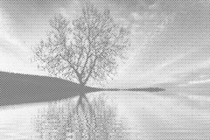 Večerno razpoloženje - Dottingo