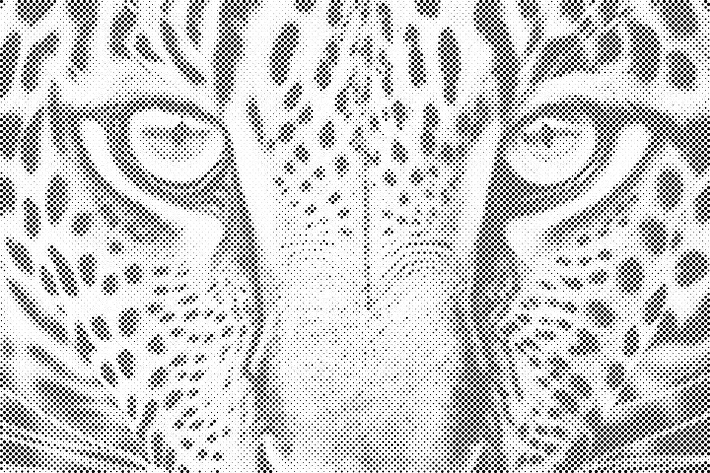 Leopard od blizu - Dottingo