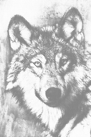Ilustracija volka - Dottingo