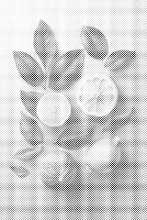 Ozadje s citrusi - Dottingo