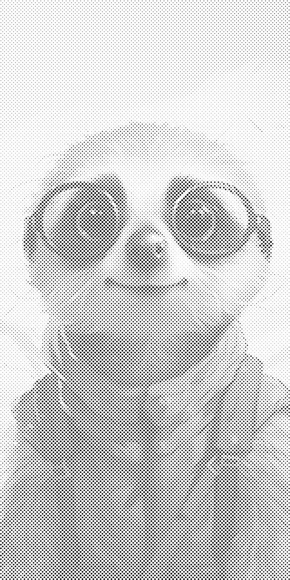 Meerkat v očalih - Dottingo