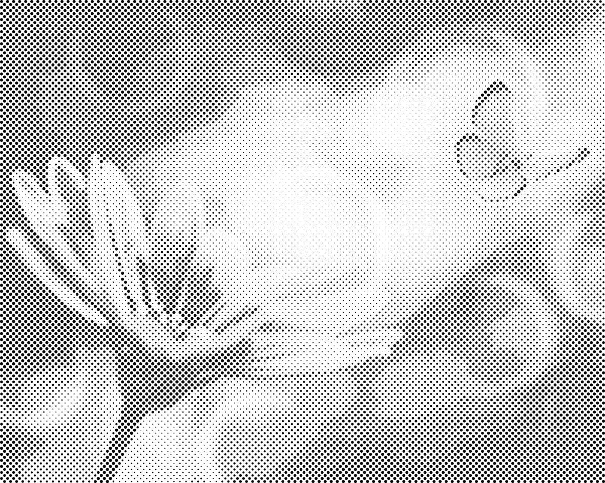 Metulj in Gerbera - Dottingo
