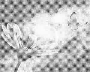 Metulj in Gerbera - Dottingo