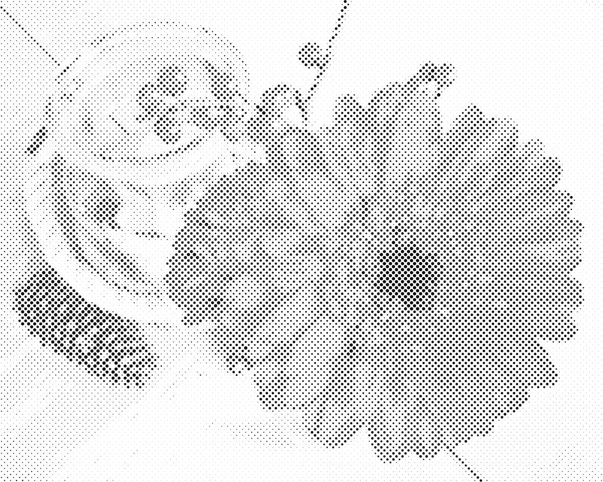 Gerbera in sveča - Dottingo