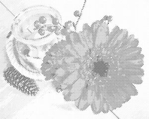 Gerbera in sveča - Dottingo