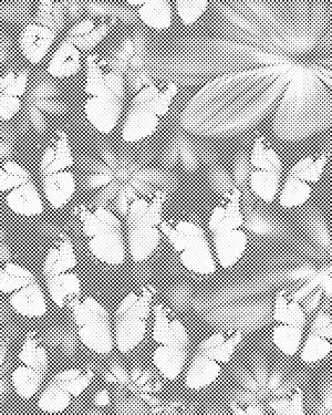 Pisani metulji - Dottingo